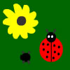 play Ladybug - Tpc