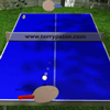 play Ping Pong