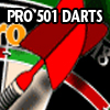 play Pro 501 Darts