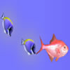 play Fish School