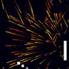 play Particle Pong