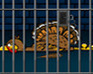 Turkey On Jail