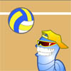 play Volley