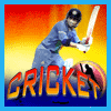 play Cricket