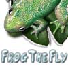 play Frog The Fly