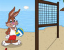 play Beach Volleyball