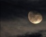 play Halloween Twilight