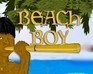 play Beach Boy