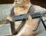 play Shooting