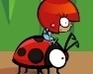 play Ladybird Racing