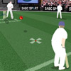 play Cricket