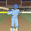 play Cricket 3