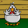 play Chicken Goal