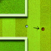 play Mini Golf 20