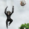 play Monkey Flight