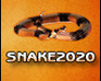 play Snake 20-20