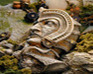 play Treasure Hunt-Ancient Turret