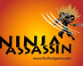 play Ninja Assassin