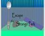 play Escape The Strange Park