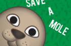 Save A Mole