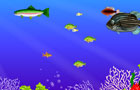 play Ocean Grown