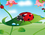 play Hidden Bugs