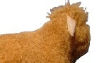 play Poke The Cow