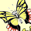 play Coloring Picture Butterfly