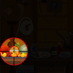 play Find The Pests