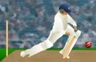 play World Cup Cricket Practi