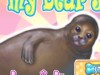 play My Sweet Seal