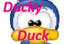 play Help Ducky Duck