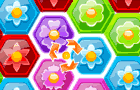 play Sun Florist