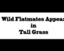 Wild Flatmates Appear In Tall Grass!