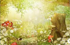 play Sunny Story