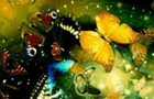 play Vivid Dreams 5 Difference