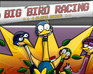 play Big Bird Racing