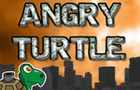 Angry Turtle