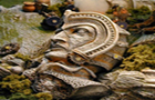 play Treasure Hunt-Ancient