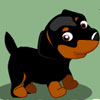 play Sweet Dogs Home