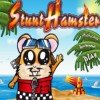 play Stunt Hamster