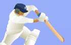 play Fog Cricket