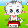 play My Cute Pets 2