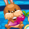 play My Sweet Bunny