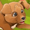 play Hannah Sweet Puppies