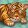 play My Baby Tiger