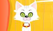 play Virtual Cat