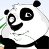 play Giant Panda