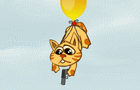 play Balloon Cat