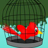play Birds Balloon Match